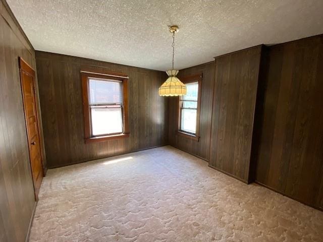 spare room with wooden walls, a textured ceiling, and a wealth of natural light