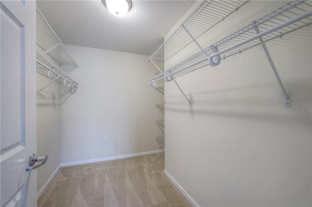 walk in closet with carpet