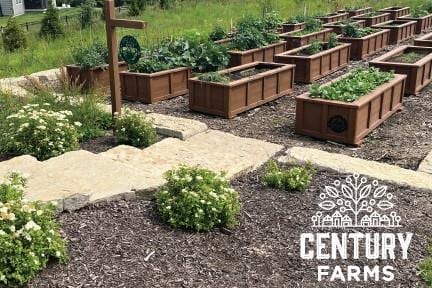 view of yard featuring a vegetable garden