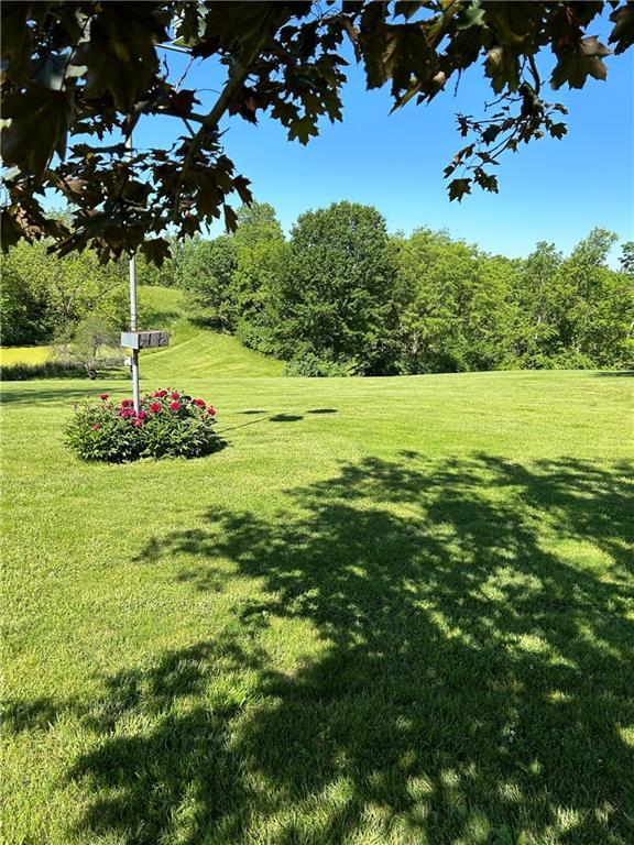 view of green lawn