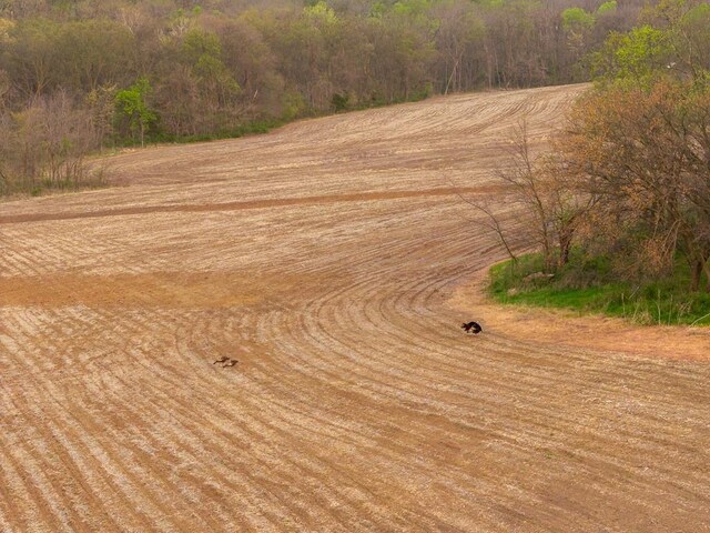 11027 SE State Route Dd Hwy, Gower, MO 64454
