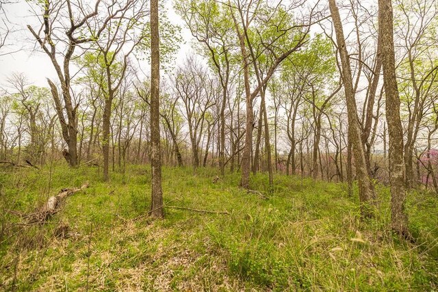 11027 SE State Route Dd Hwy, Gower, MO 64454