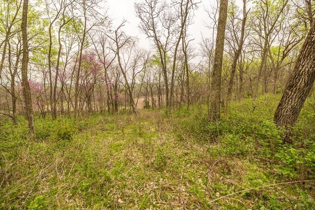 11027 SE State Route Dd Hwy, Gower, MO 64454