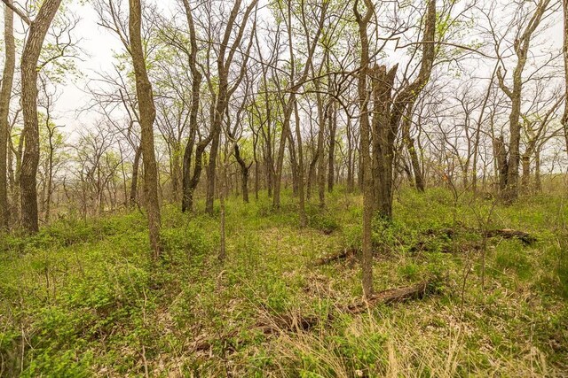 11027 SE State Route Dd Hwy, Gower, MO 64454