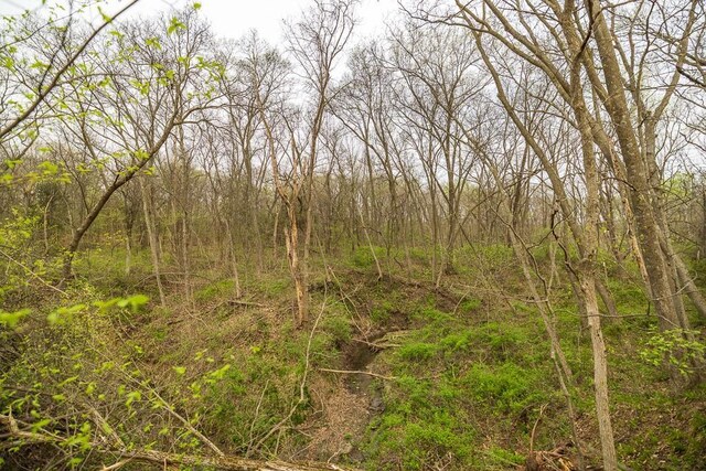 11027 SE State Route Dd Hwy, Gower, MO 64454