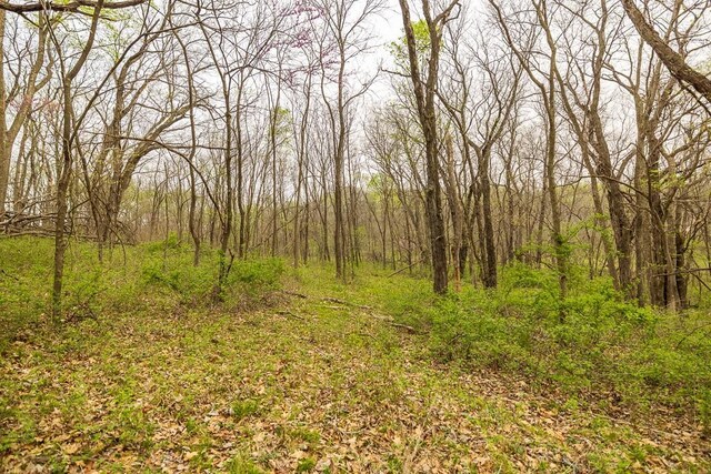 11027 SE State Route Dd Hwy, Gower, MO 64454