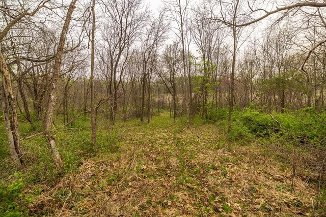 11027 SE State Route Dd Hwy, Gower, MO 64454
