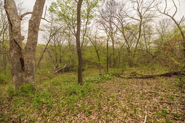 11027 SE State Route Dd Hwy, Gower, MO 64454