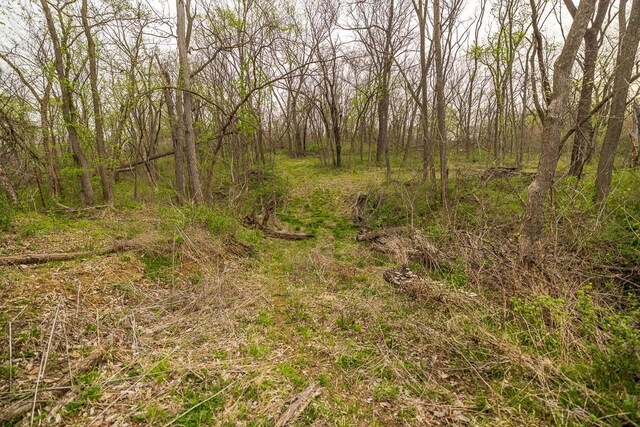 11027 SE State Route Dd Hwy, Gower, MO 64454