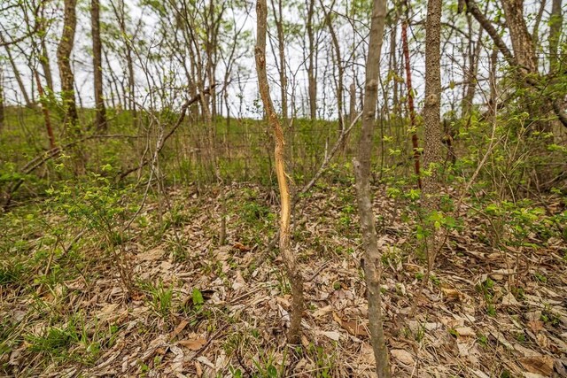 11027 SE State Route Dd Hwy, Gower, MO 64454
