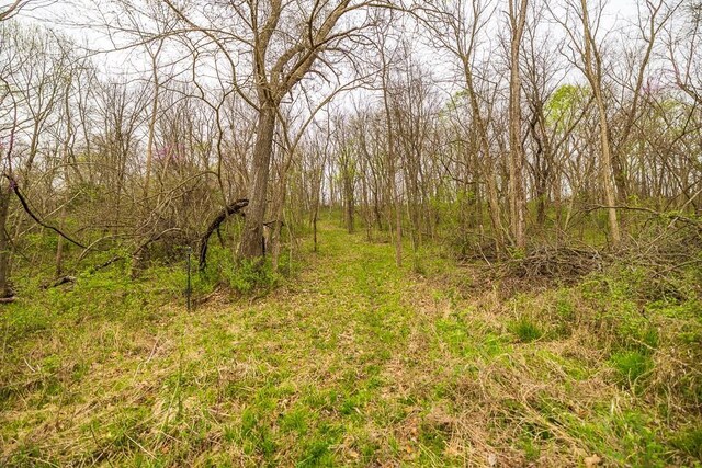 11027 SE State Route Dd Hwy, Gower, MO 64454