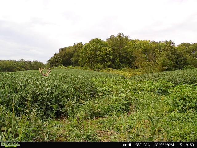 11027 SE State Route Dd Hwy, Gower, MO 64454