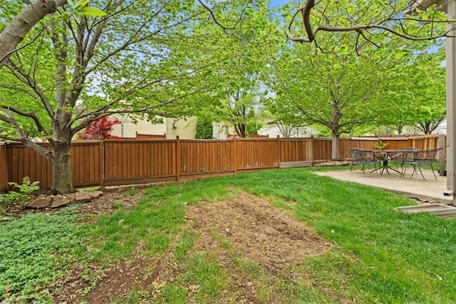 view of yard with a fenced backyard and a patio area