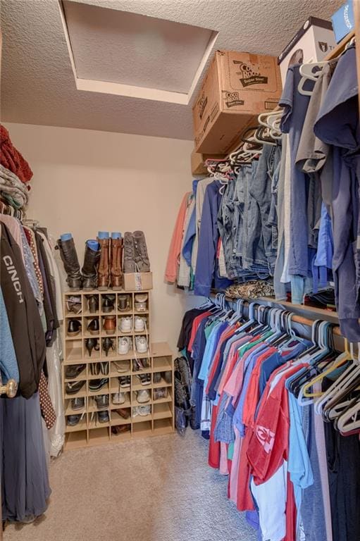 spacious closet featuring carpet flooring