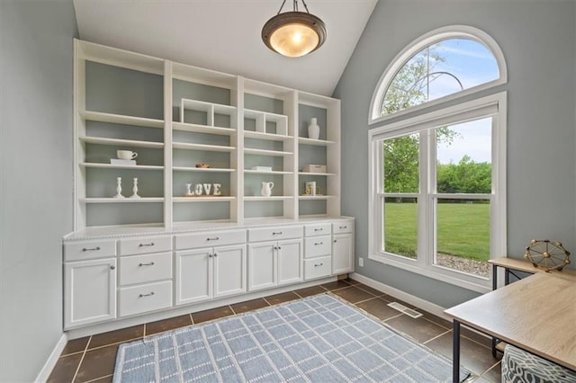14305 S Gammon Rd, Greenwood, MO 64034 - office with dark tile patterned floors, plenty of natural light, and lofted ceiling
