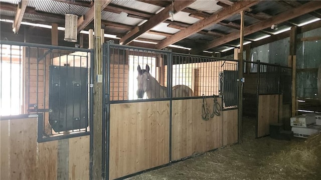 view of horse barn