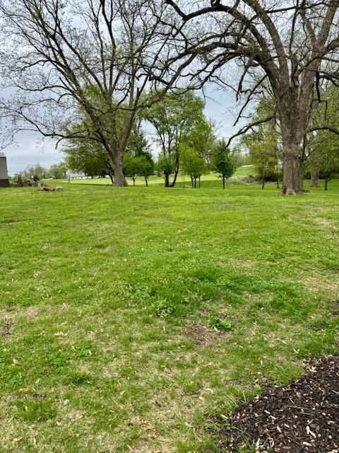 403 W Cedar St, Waverly, MO 64096 - view of green lawn