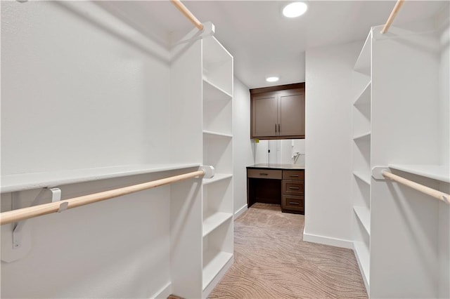 spacious closet with light carpet