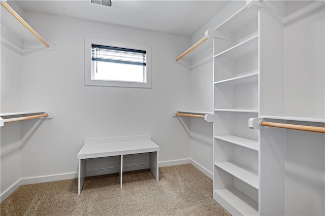 11212 W 170th Pl, Overland Park, KS 66221 - walk in closet featuring carpet