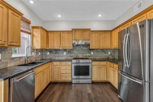 kitchen with visible vents, dark wood-style floors, a sink, appliances with stainless steel finishes, and exhaust hood