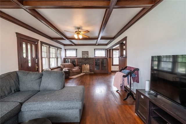 living room with a brick fireplace, beam ceiling, dark wood finished floors, a ceiling fan, and coffered ceiling