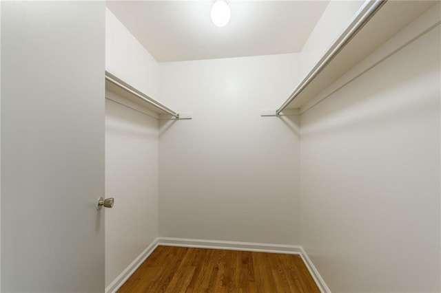 spacious closet featuring wood finished floors