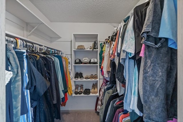 spacious closet with carpet