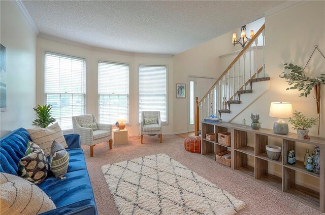 living area with a textured ceiling, stairway, a chandelier, ornamental molding, and carpet flooring