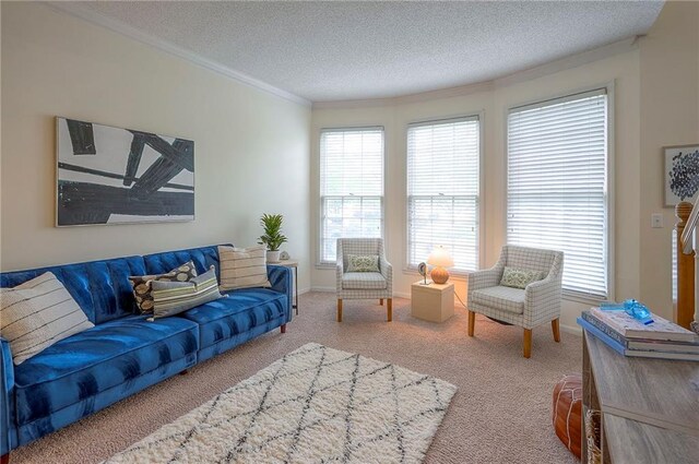carpeted living room with baseboards, ornamental molding, and a textured ceiling