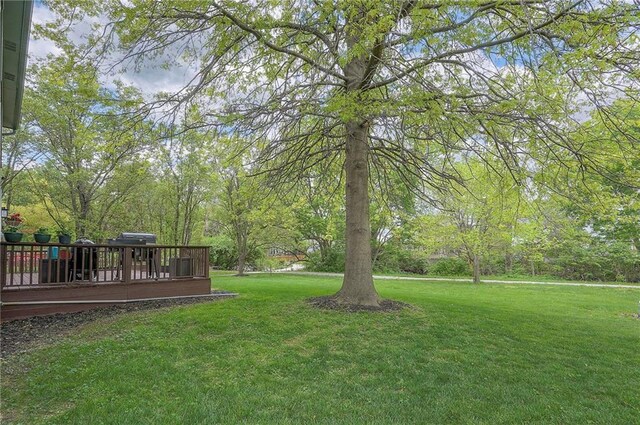 view of yard featuring a deck