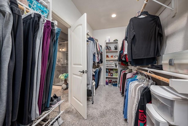 spacious closet featuring carpet flooring