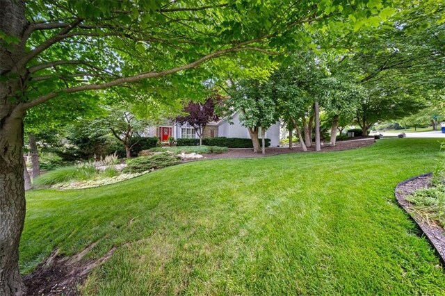 26266 W 110th Ter, Olathe, KS 66061 - view of grassy yard