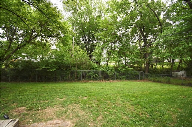5233 N Garfield Ave, Kansas City, MO 64118 - view of yard