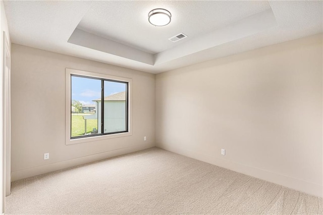 2314 SW Serena Pl, Lees Summit, MO 64082 - carpeted spare room with a raised ceiling and baseboards