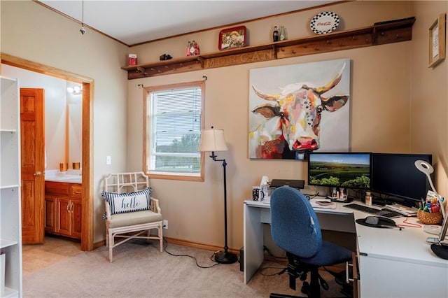 home office with light carpet