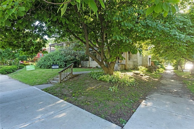 3700 Jefferson St, Kansas City, MO 64111 - view of green lawn