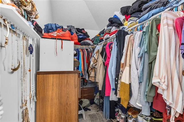 spacious closet featuring carpet flooring