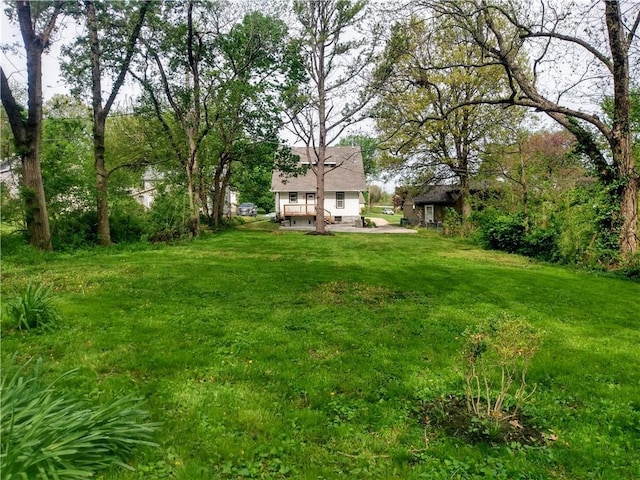 507 N Pearl St, Paola, KS 66071 - view of yard