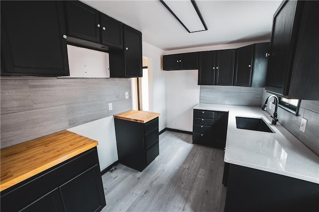 kitchen featuring light wood-style floors, tasteful backsplash, a sink, baseboards, and dark cabinets