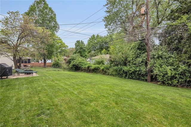 view of grassy yard featuring a patio
