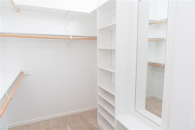 2200 NW Hedgewood Dr, Grain Valley, MO 64029 - walk in closet with carpet