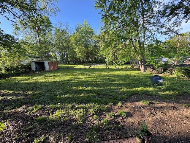 view of yard featuring a storage unit and an outdoor structure