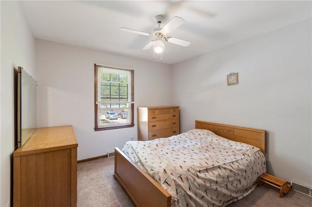817 NE 81st St, Kansas City, MO 64118 - photo 13
