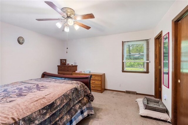 817 NE 81st St, Kansas City, MO 64118 - photo 15