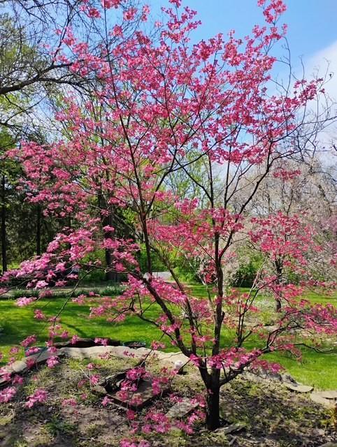 view of nature