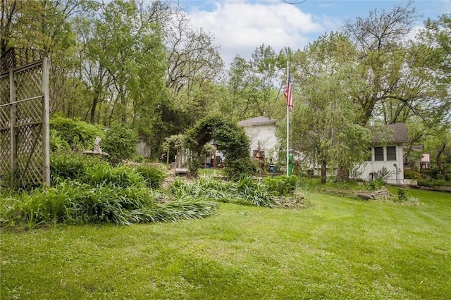 view of yard