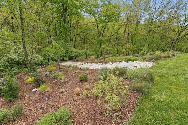 view of landscape with a wooded view