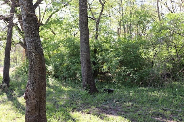 view of landscape with a view of trees