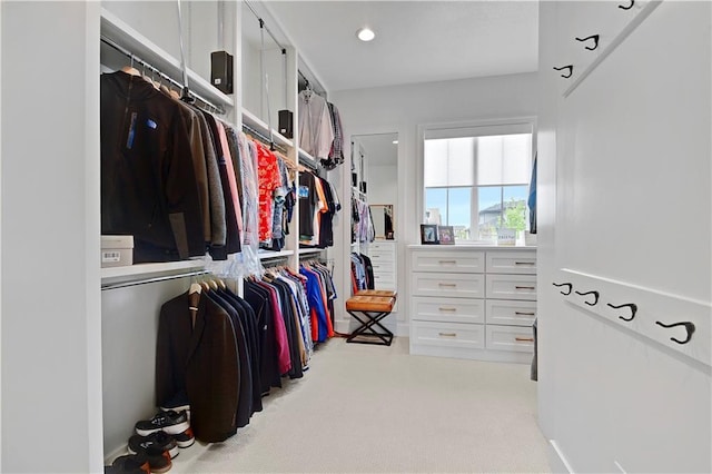 spacious closet with light colored carpet