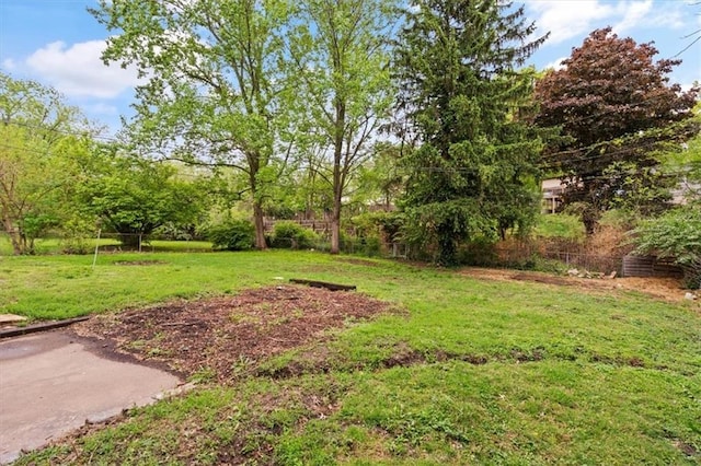view of yard
